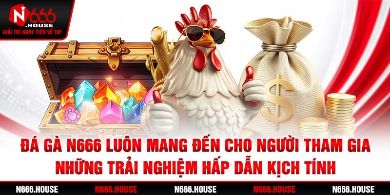 Đá gà N666 luôn mang đến cho  người tham gia những trải nghiệm hấp dẫn, kịch tính