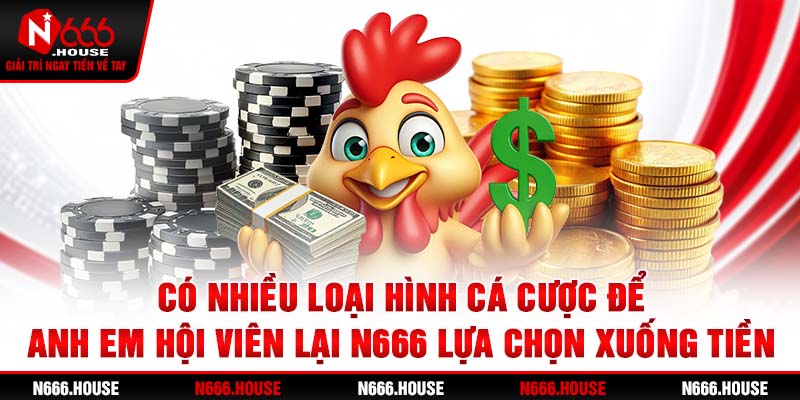 Có nhiều loại hình cá cược để anh em hội viên lại N666 lựa chọn xuống tiền