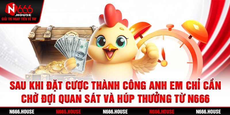 Sau khi đặt cược thành công, anh em chỉ cần chờ đợi, quan sát và húp thưởng từ N666